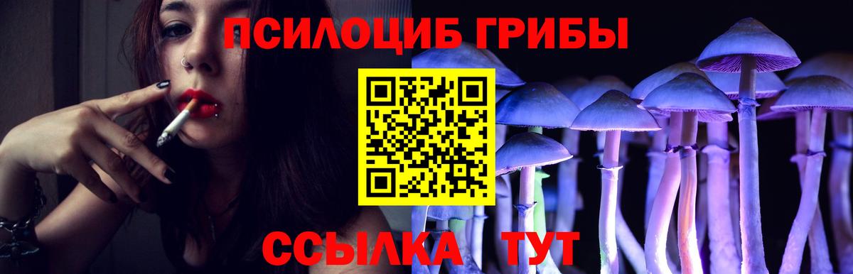 Севастополь  Псилоцибиновые грибы ЛСД  Вход с VPN  Псилоцибиновые грибы прущие грибы 