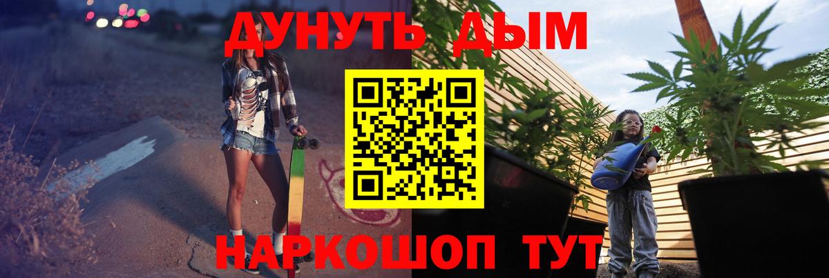 Бошки Шишки конопля Севастополь